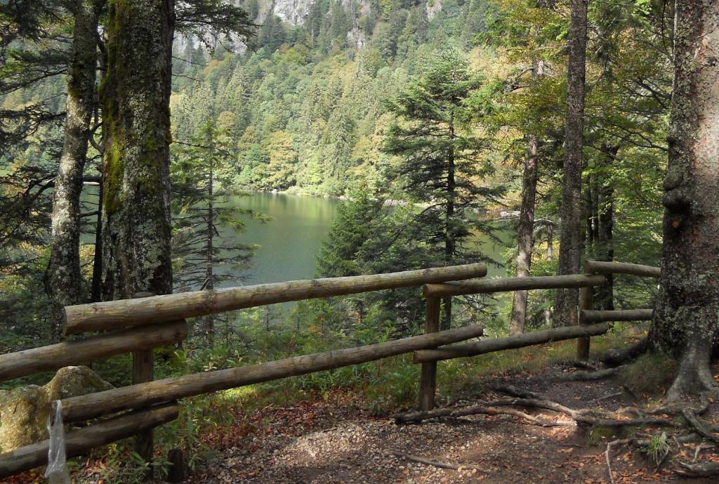 Hotel Gaestehaus Behabuehl Feldberg  Zewnętrze zdjęcie