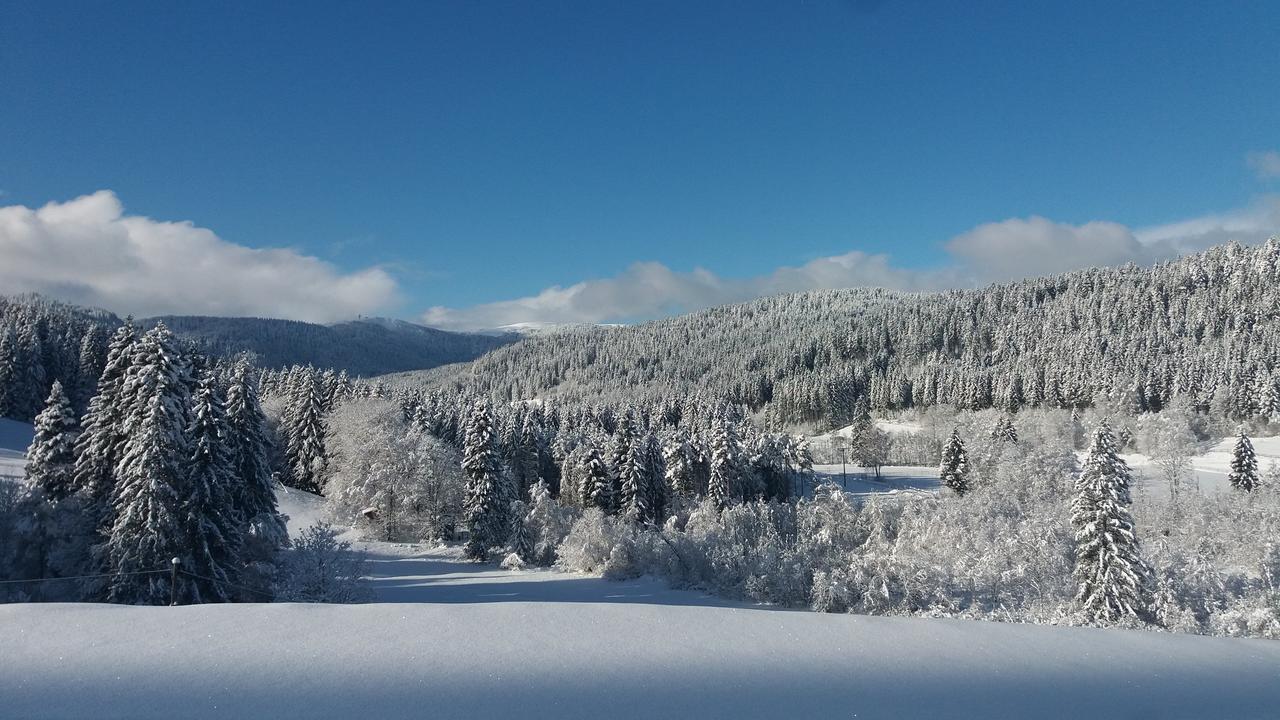 Hotel Gaestehaus Behabuehl Feldberg  Zewnętrze zdjęcie