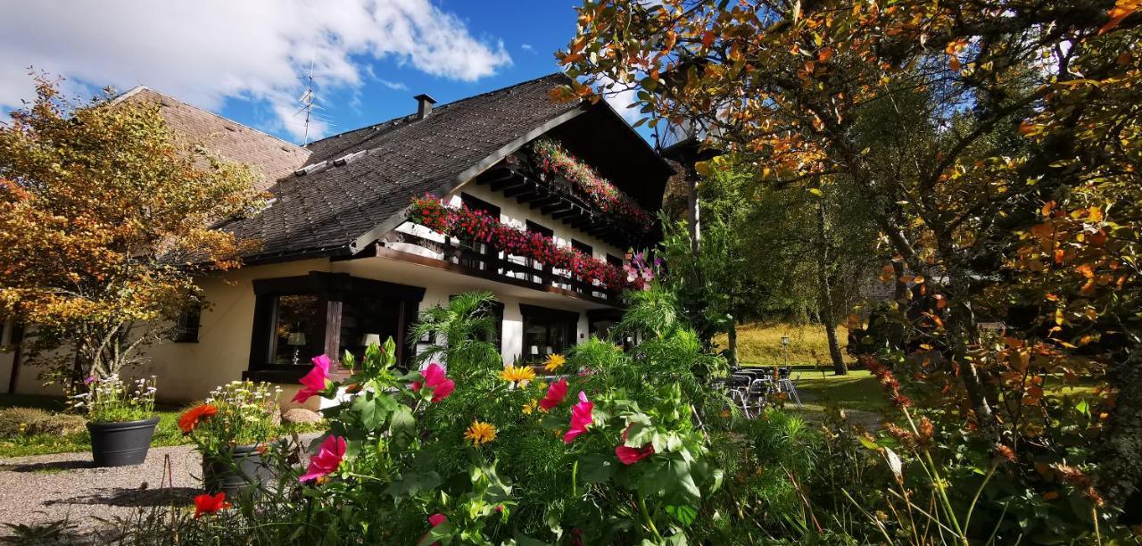 Hotel Gaestehaus Behabuehl Feldberg  Zewnętrze zdjęcie