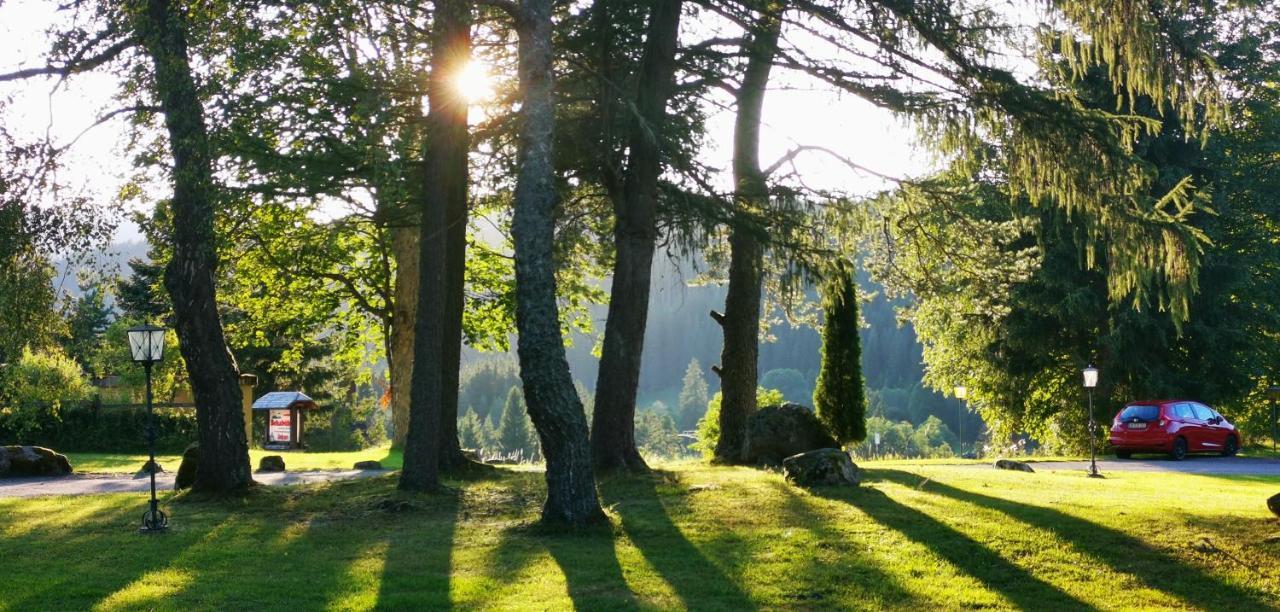 Hotel Gaestehaus Behabuehl Feldberg  Zewnętrze zdjęcie