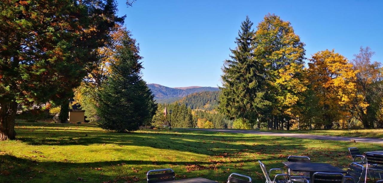 Hotel Gaestehaus Behabuehl Feldberg  Zewnętrze zdjęcie